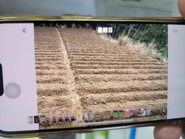 生產者圖片