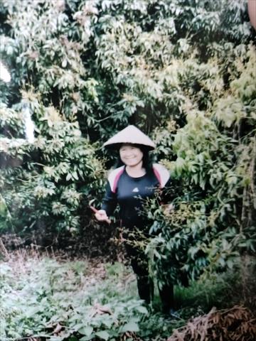 生產者圖片
