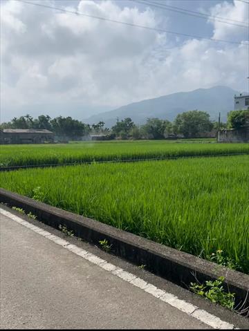 生產者圖片