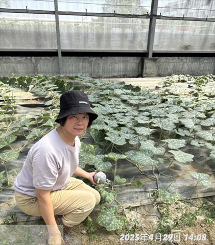 生產者圖片