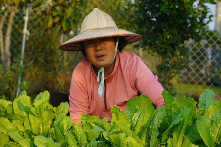 生產者圖片