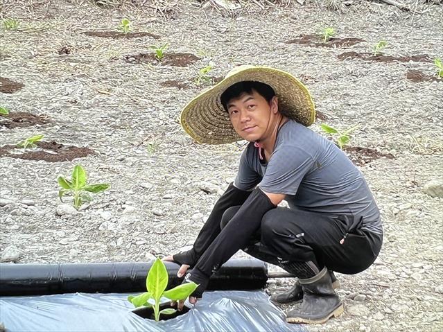 生產者圖片