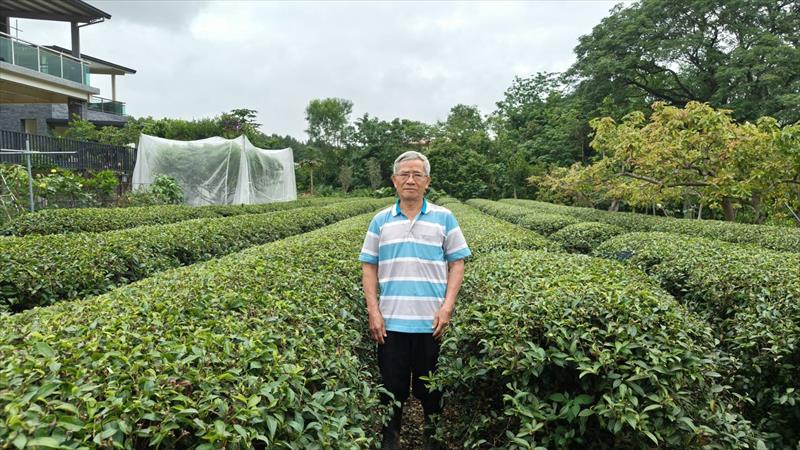 生產者圖片
