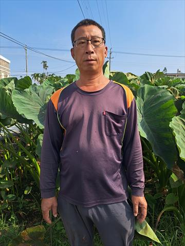 生產者圖片