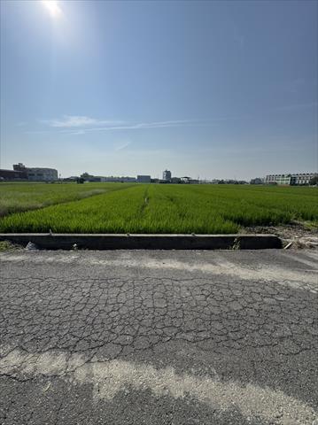 生產者圖片