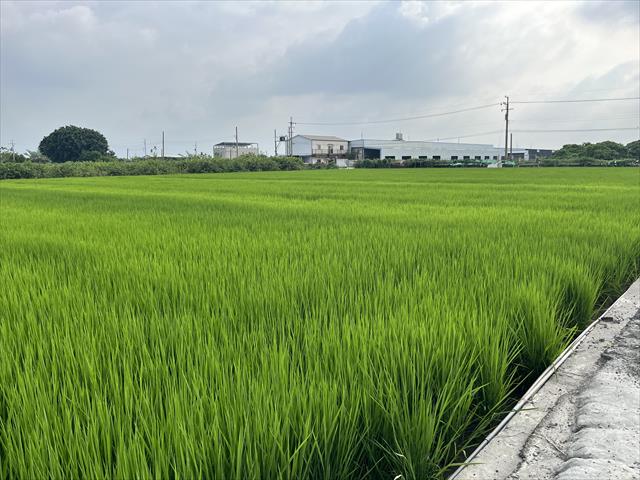生產者圖片