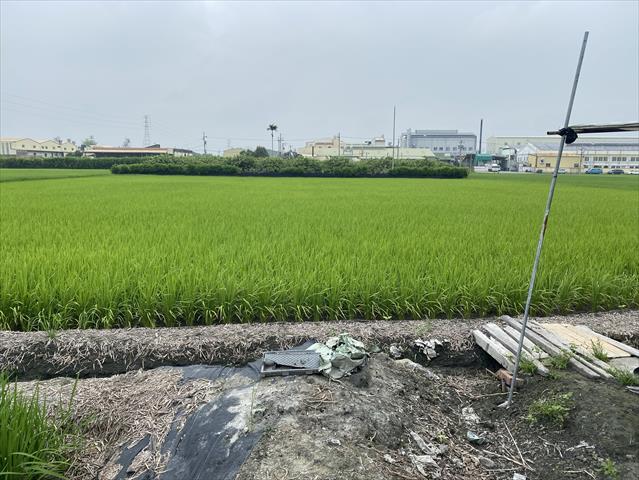 生產者圖片