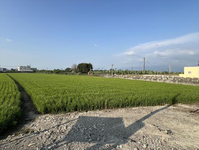 生產者圖片