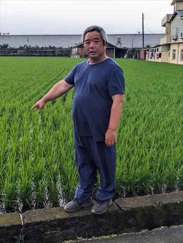 生產者圖片