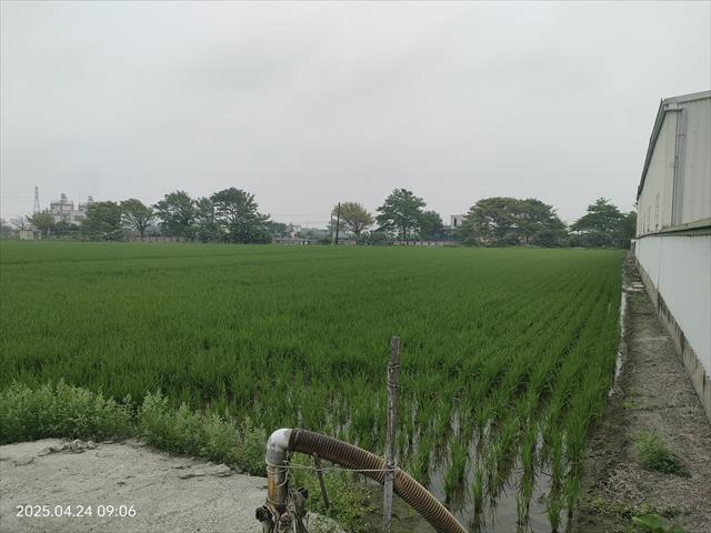 生產者圖片