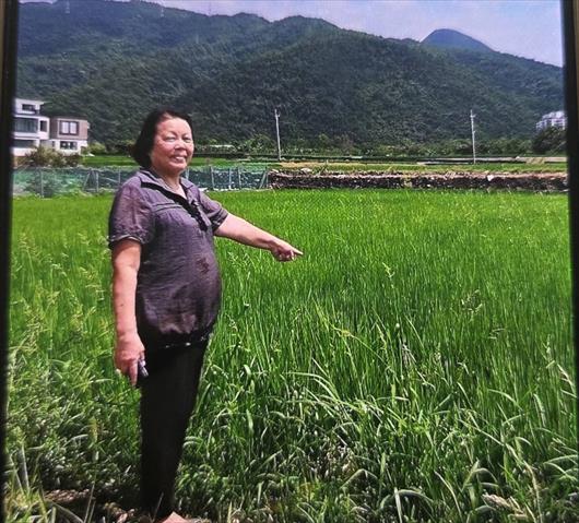 生產者圖片