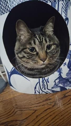 生產者圖片