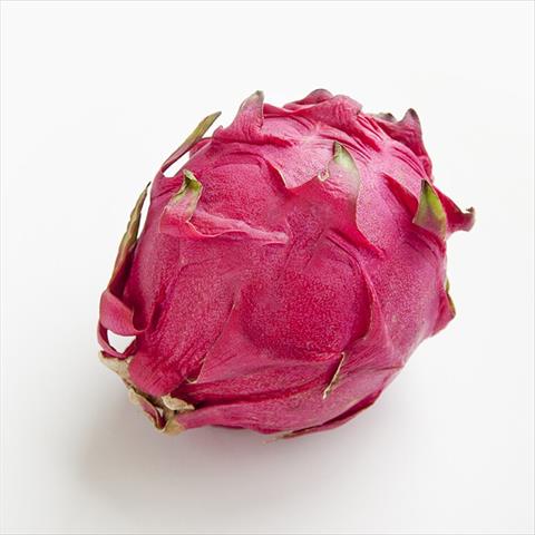 生產者圖片