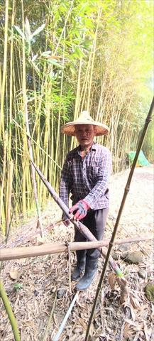生產者圖片