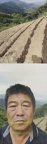 生產者圖片