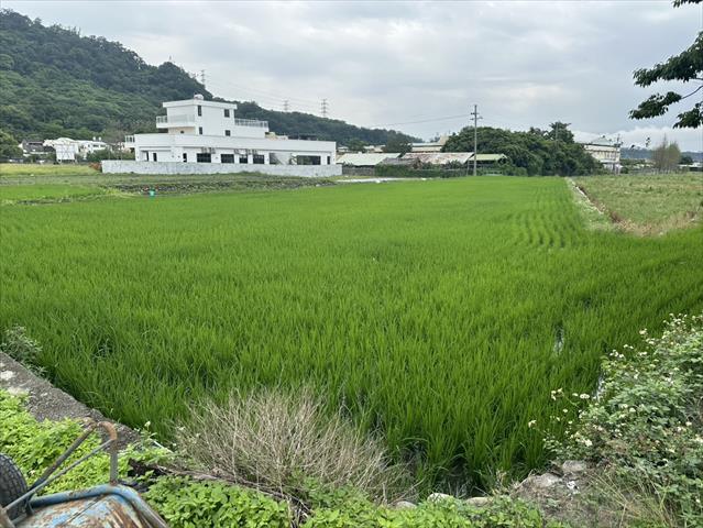 生產者圖片