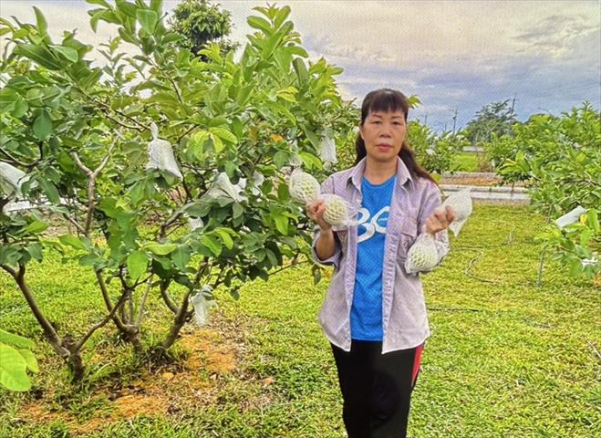 生產者圖片