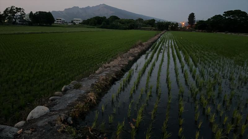 生產者圖片