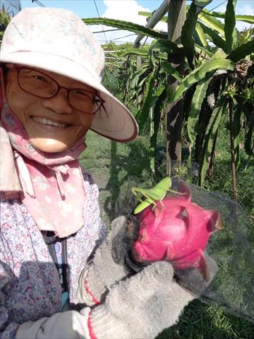 生產者圖片