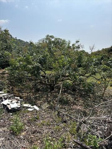 生產者圖片