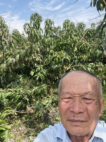 生產者圖片