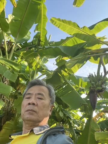 生產者圖片