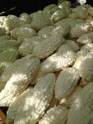 生產者圖片