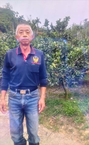 生產者圖片