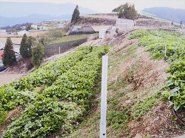 生產者圖片