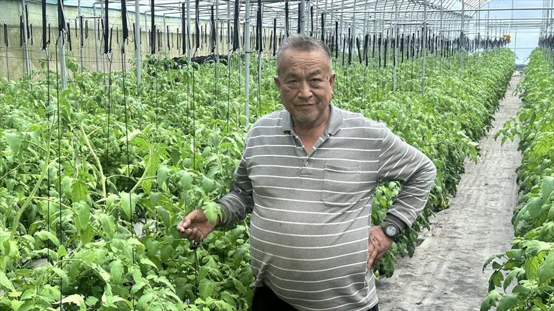 生產者圖片