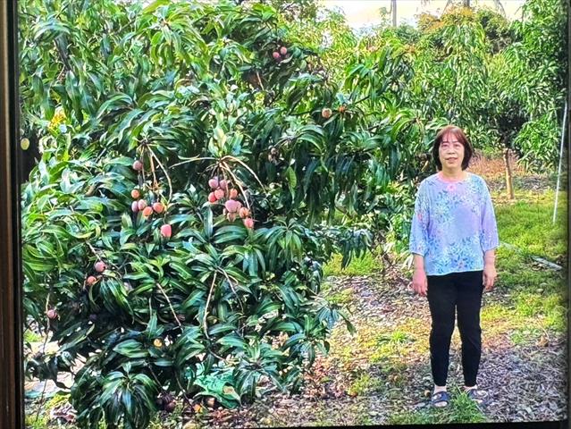 生產者圖片