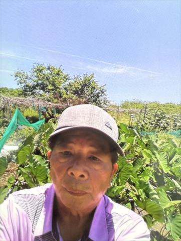 生產者圖片