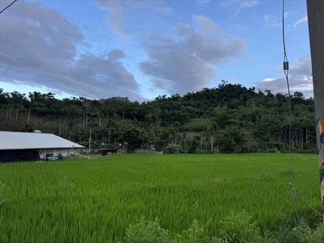 生產者圖片