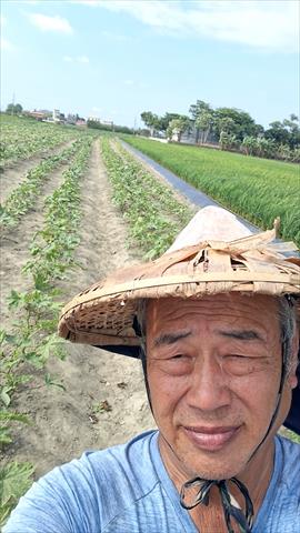 生產者圖片