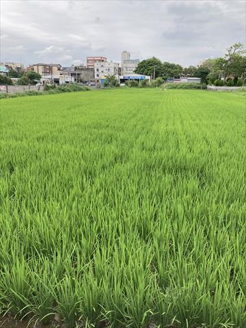 生產者圖片