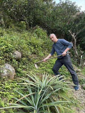 生產者圖片