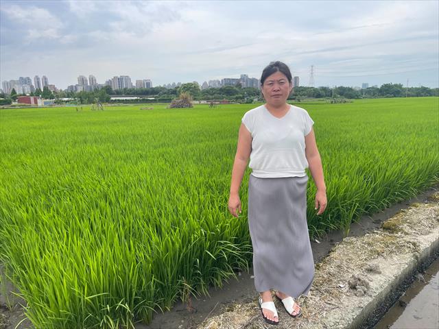 生產者圖片