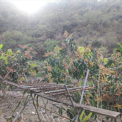 生產者圖片