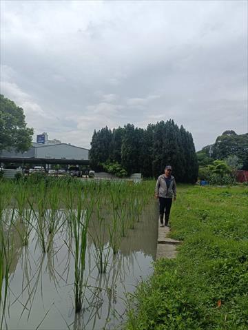 生產者圖片