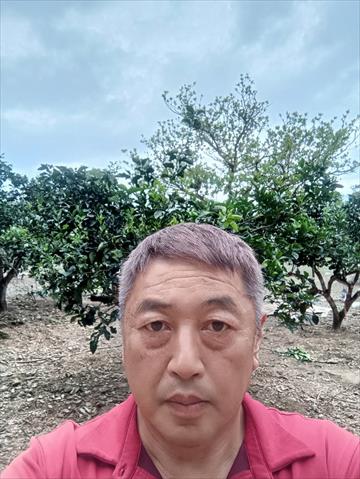 生產者圖片