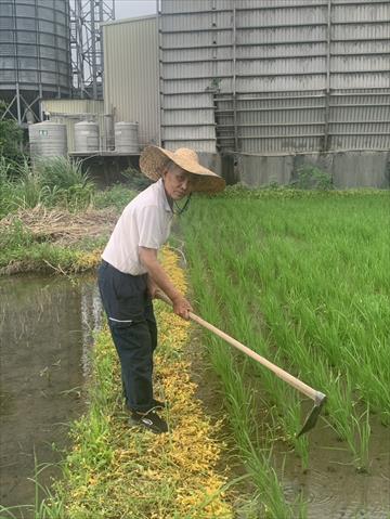 生產者圖片