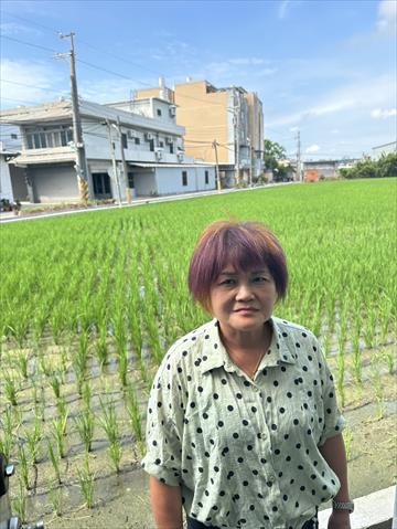 生產者圖片