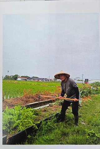 生產者圖片