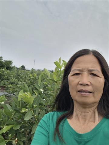 生產者圖片