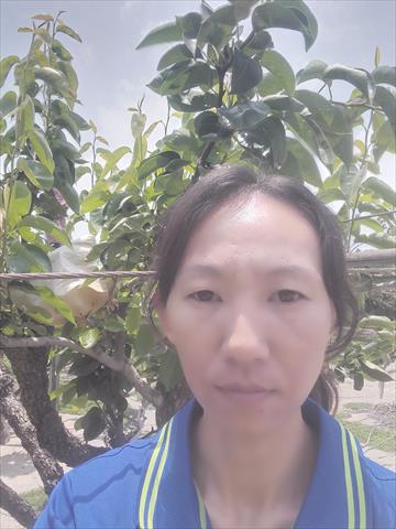 生產者圖片
