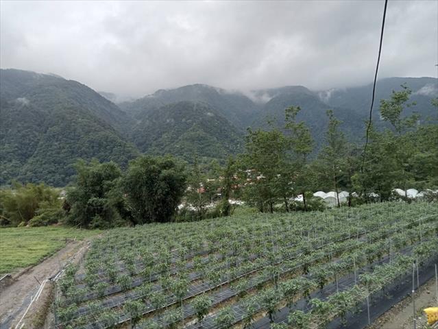 生產者圖片