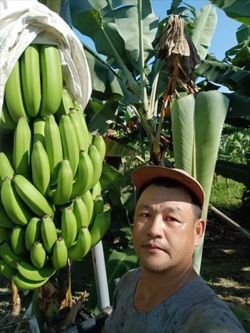 生產者圖片