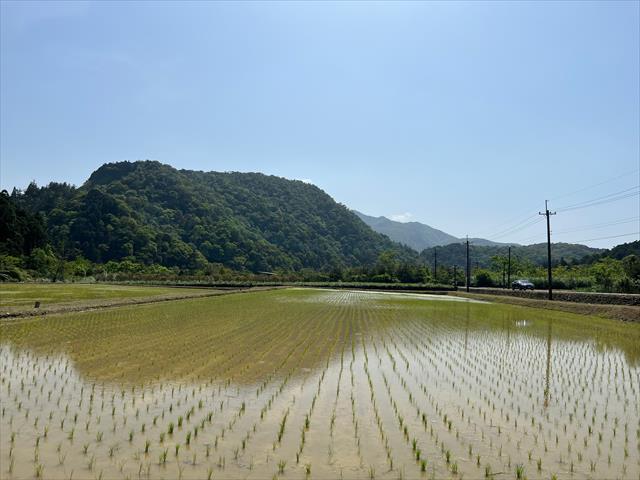 生產者圖片