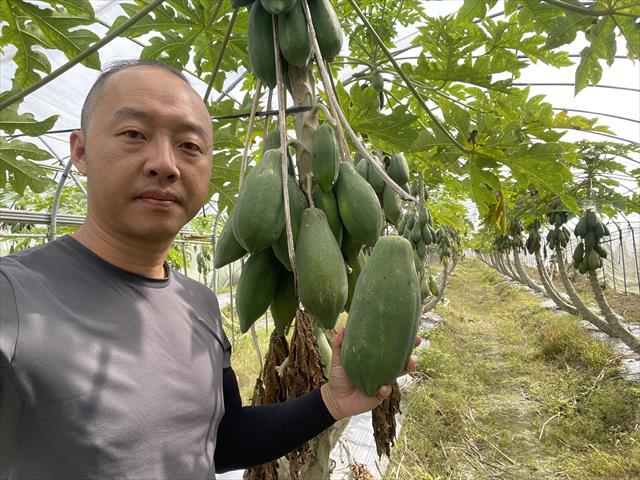生產者圖片