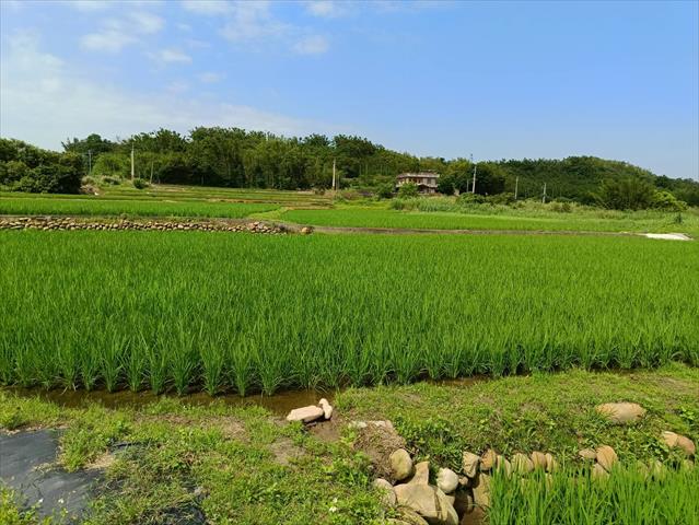 生產者圖片